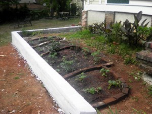 花园的灵感来自法国集约化园艺风格，在松散、排水良好的土壤中利用间作植物。为了达到这一目的，我们在新床上添加了表土和几袋腐殖质和肥料。然后我们用旧砖把各种植物隔开。